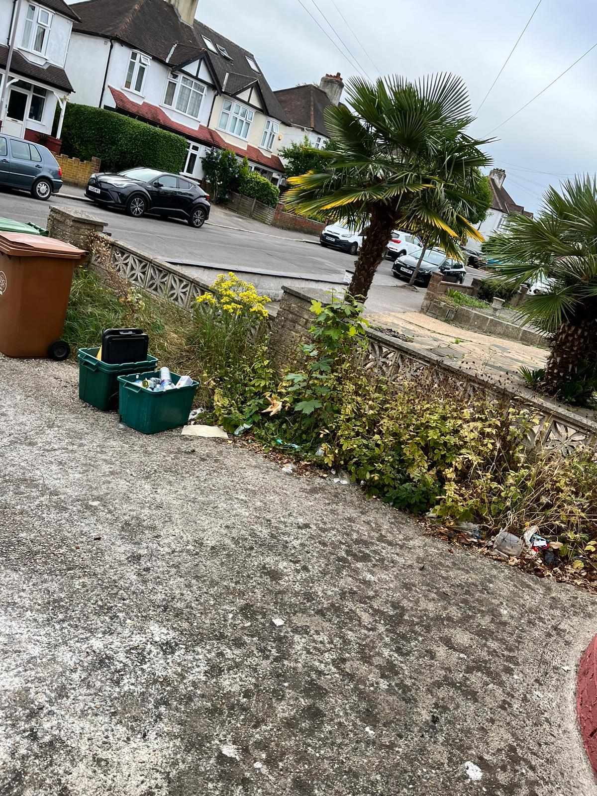 Driveway before garden clearance by Purley Hills